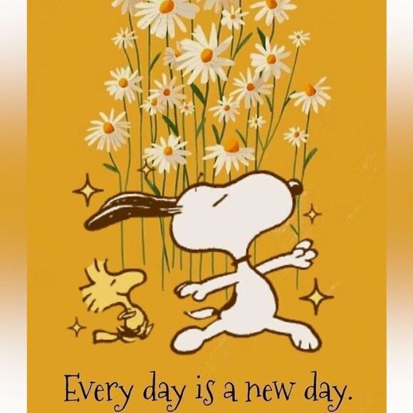 MOLYBELL One Piece Swimsuits High Waisted Cutout Racerback Zip Up NWT Sz Large - Picture 8 of 9